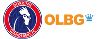 Dorking Wanderers Online Store